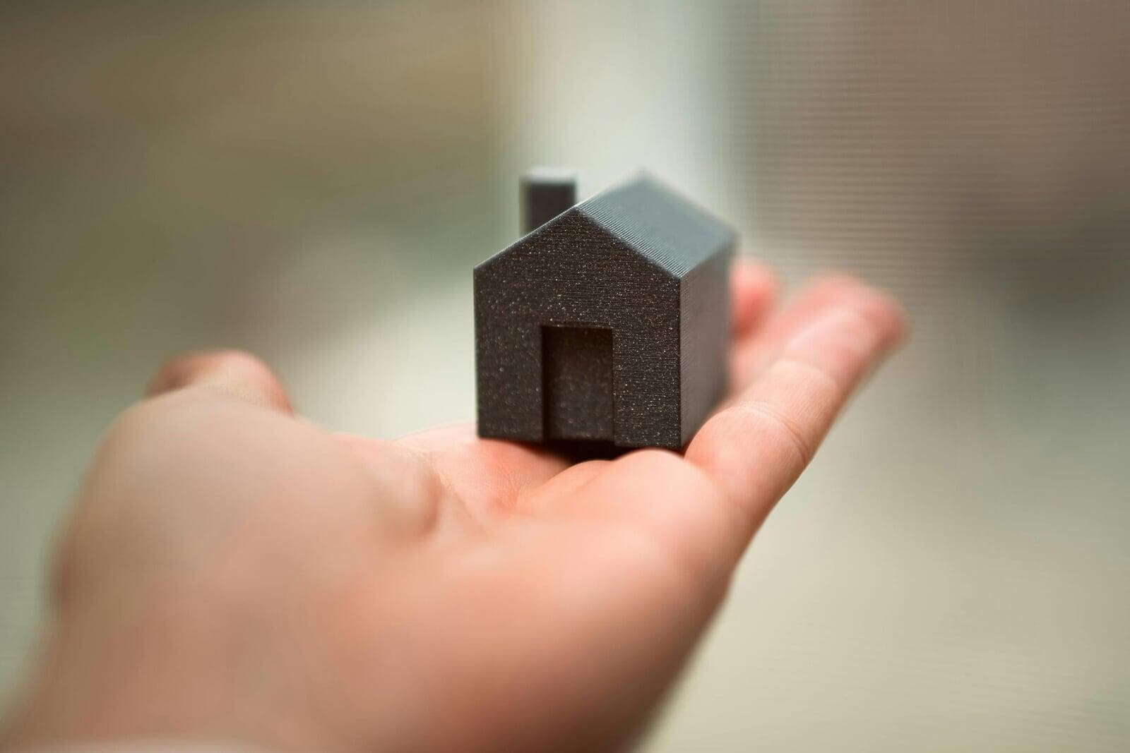 Home on palm